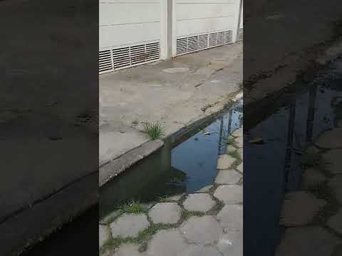 MORADOR REGISTRA ÁGUA PODRE E EMPOSSADA NA RUA E MANDA UM RECADO PARA O PREFEITO AYRES.