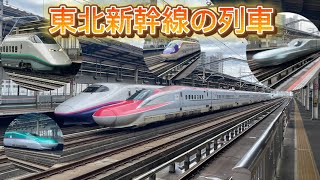 【激レア新幹線も登場】東北新幹線で活躍する新幹線