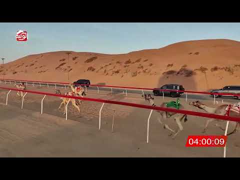  ش 4 (شاهين) لـ مانع علي محمد بن حماد الشامسي 7:59 , شارة الديوان 2025/12/11 لقايا اللبسه  