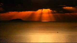 Frank Borell - The Perfect World