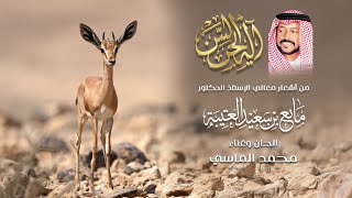 كلمات اغنية ايه الحسن محمد الماسي