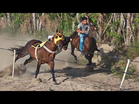 , title : 'DESAFIOS - Corrida de cavalos - ASTEK vs ZAIA / SHOW DO MILHÃO vs DANONE'
