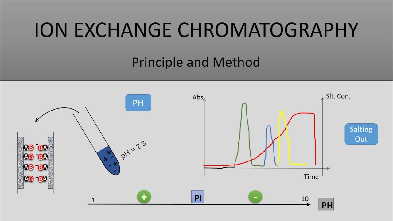 The Principle Of Ion Exchange Chromatography, A Full Explanation