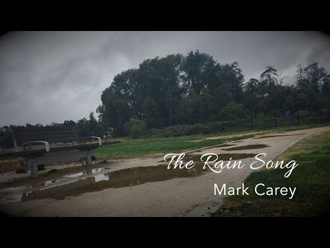 The Rain Song (Lyric Video)