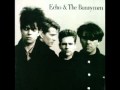 Echo & The Bunnymen - Higher Hell