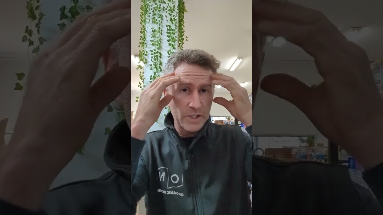 Memory Loss, Brain Fog, Alzheimer's and Dementia