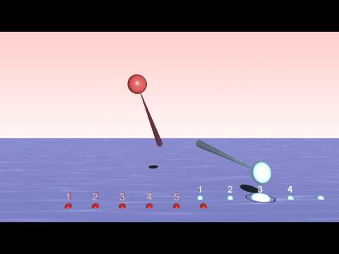 How to play a 5:4  Polyrhythm - Animation  3D Bounce Metronome Pro