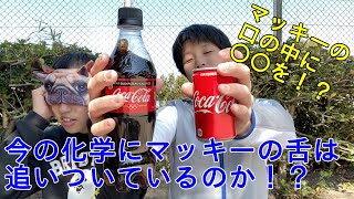 今の化学にマッキーの舌は追いついているのか！？