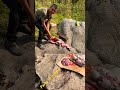 Party In Jungle Friends Goat Mutton Uttarakhand Hills Shorts