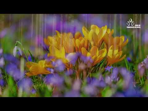 Evangelho Virtual do dia 01/07/2020