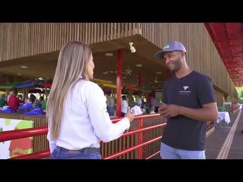 Camino al Suroeste - 12 de diciembre de 2024