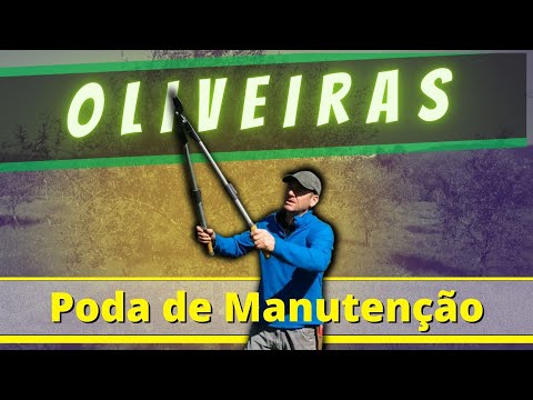 , title : 'Como efectuar PODA de manutenção NAS OLIVEIRAS'
