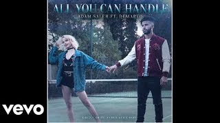 Adam Saleh - All You Can Handle ft. Demarco (Audio)