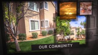 Vintage - Gilbert, AZ