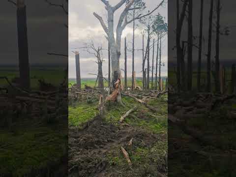 Tornado em Pedro Osório,  no Rio Grande do Sul