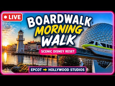 Live webcam of The Disney With Sean Show