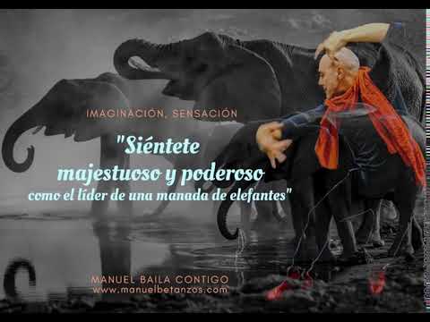 Of Elephants, Wise Shamans and Ancient Trees ~ Flamenco Quotes