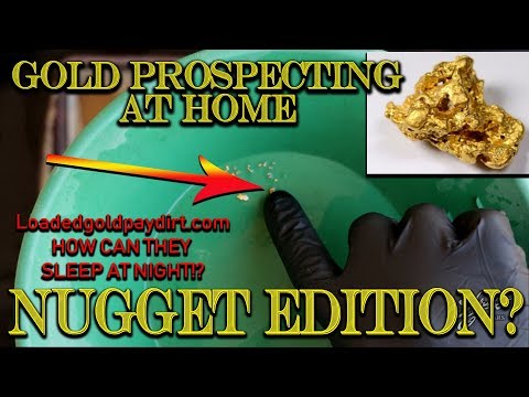 Gold Prospecting at Home #35 - NUGGET EDITION - Gold Paydirt Concentrate from Loadedgoldpaydirt.com