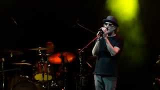 Francesco De Gregori - L'abbigliamento di un fuochista (Forte Dei Marmi, 19 Agosto 2015)