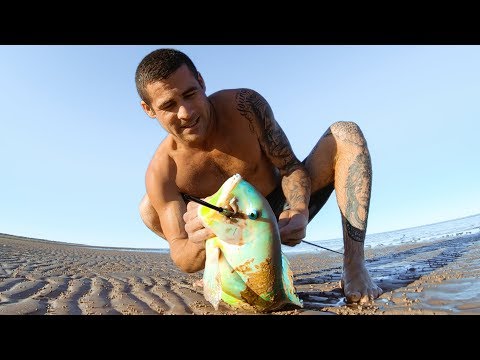 YBS Lifestyle Ep 16 - DRONE SPEARFISHING | Spider Wasp Sting Test + Mating Whales?