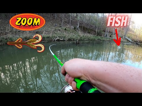 Back To Basics: Fishing the Early Spawn with a Texas Rig