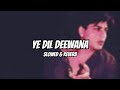 Ye Dil Deewana | Slowed & Reverb | Pardes
