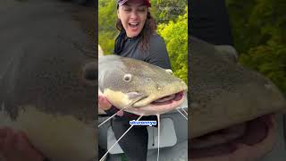 Download lagu Wanita Ini Dapat Ikan Monster mp3
