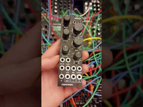 cosmotronic messor eurorack module #synth #eurorack #electronicmusic #modularsynth #synthesizer
