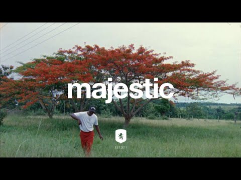 Serious Klein - The Seed (Short Film)