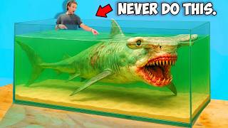 Buying the Scariest Shark I've Ever Owned Off The Web...