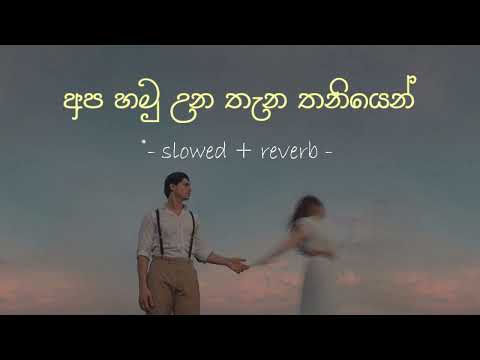 අප හමු උන තැන තනියෙන් | Apa Hamu Unu Thana  (Slowed Reverb)