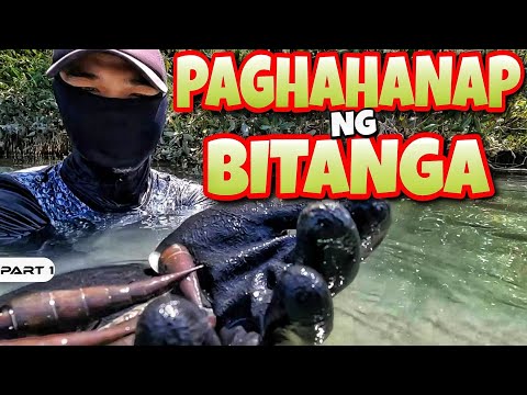 EP966-P1 - Paghahanap ng Bitanga