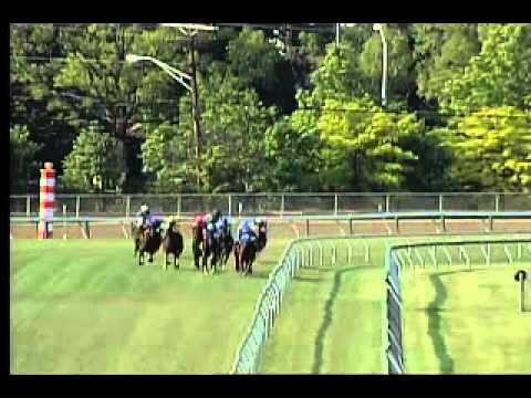 Pimlico 05/29/15 race 9