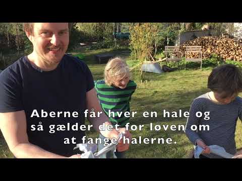 Hvad er klokken hr  Løve   HD 720p