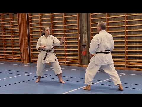 Ronneby karateklubb 40 år