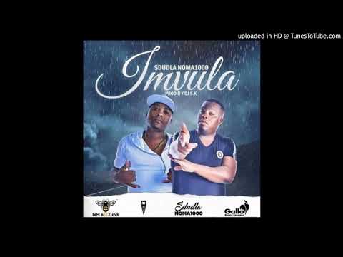 Sdudla Noma1000 - Imvula ft DJ SK