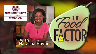 The Food Factor: Get Active