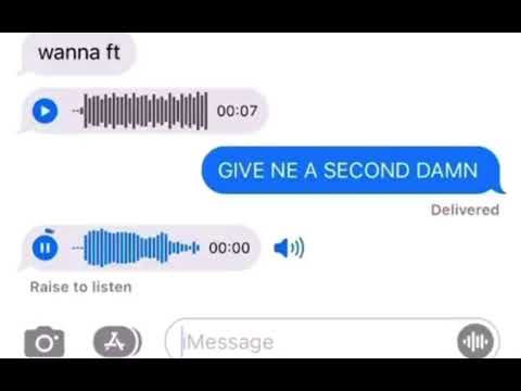 Stan Twitter: Girl pleading to facetime voice memo please please reaction video