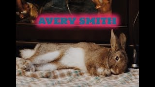 Avery Smith First 4 Months