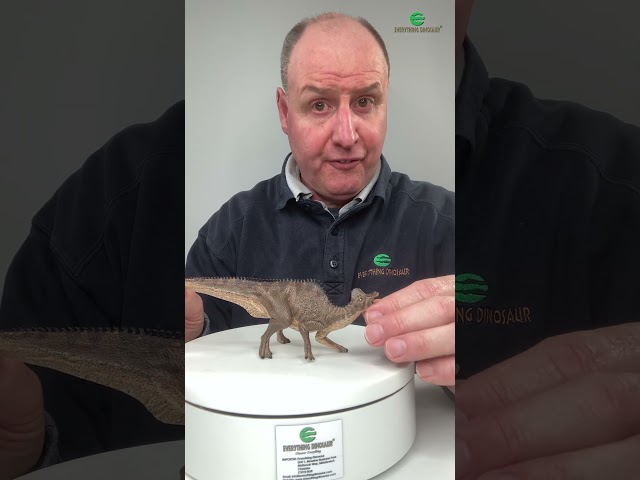 Vídeo relacionado con Papo - Hand-Painted Figurine - Corythosaurus - Dinosaurs - Collectible - for Children - Boys and Girls - Ages 3 and Up