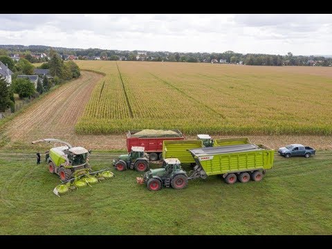 CLAAS JAGUAR 950 mit ORBIS 750 u. Fendt im Mais 2019 FullHD
