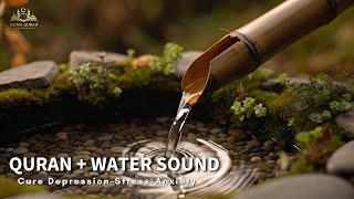 Download lagu Quran for Deep Sleep 💚 Bamboo Water Sounds for Relaxation & Mental Healing | Muhammad Hisham mp3