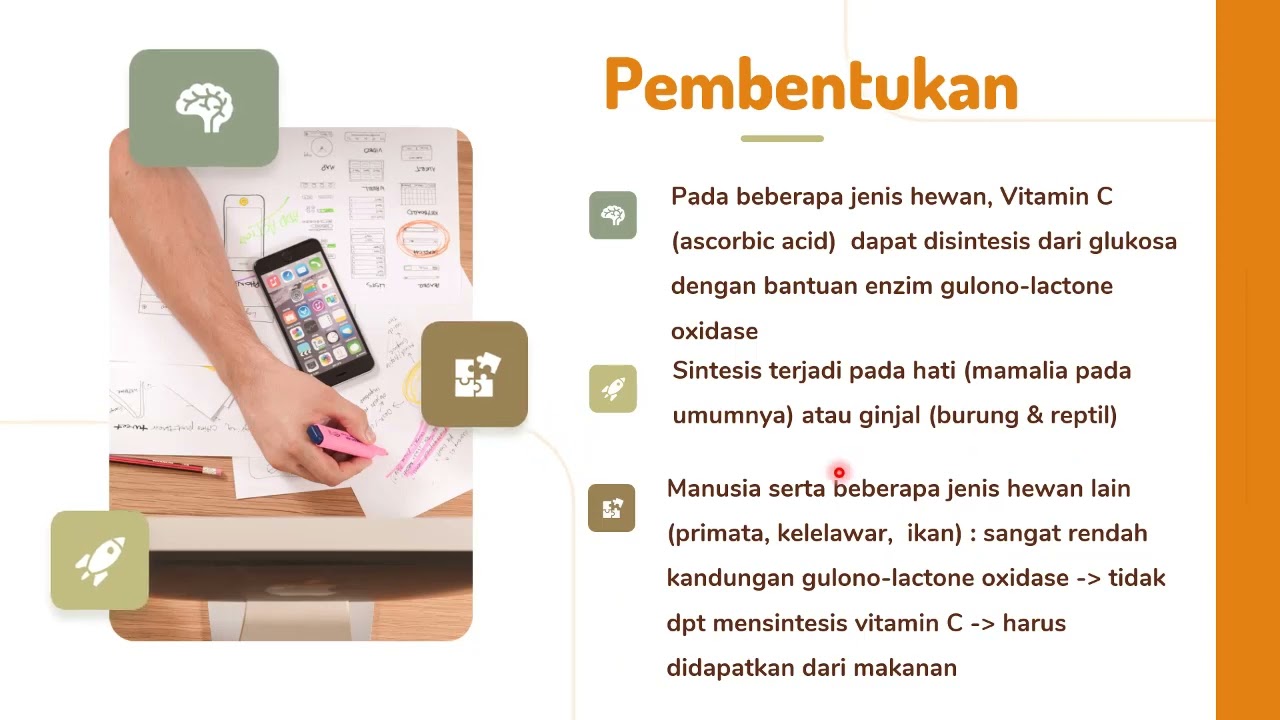 Metabolisme Vitamin C