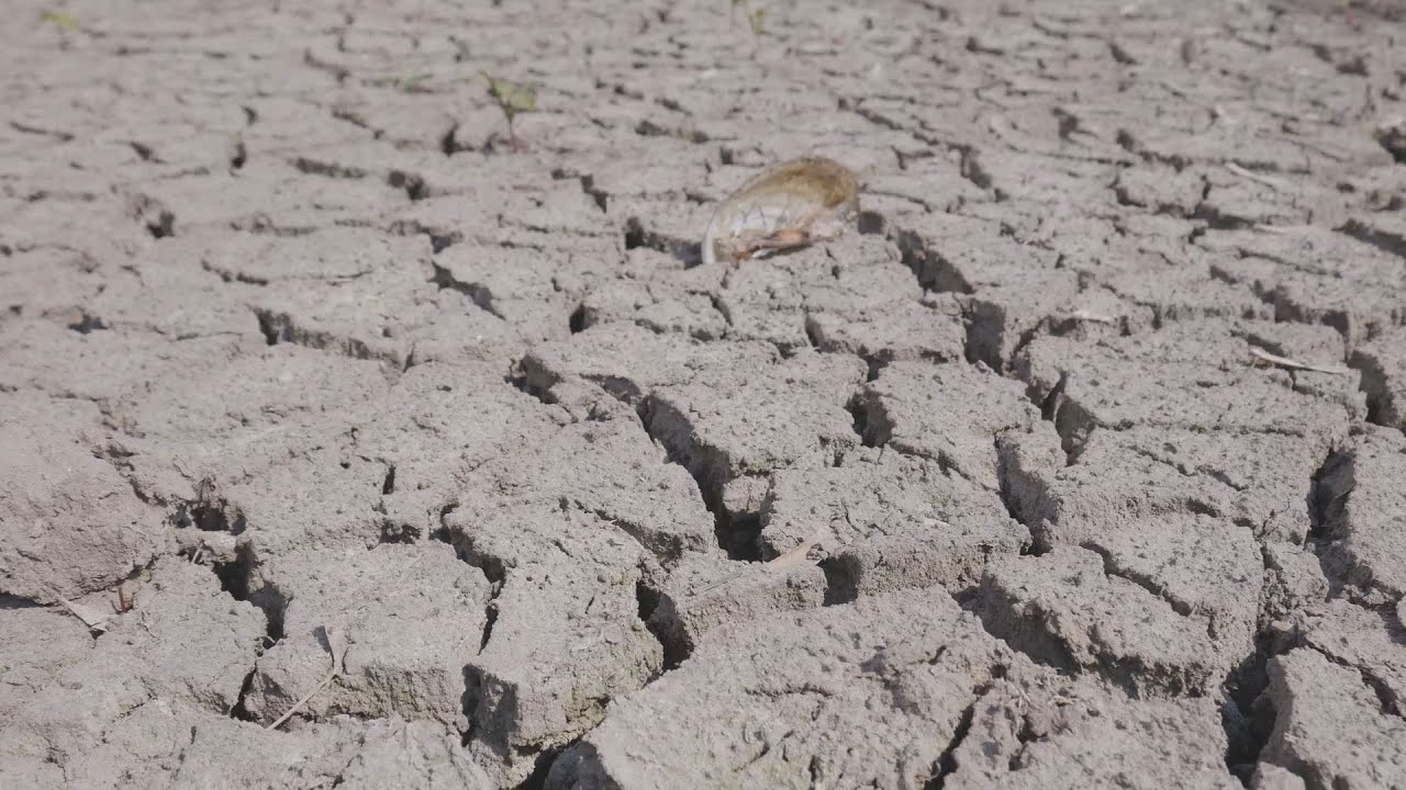 Nuevo Spot sobre el ahorro del agua