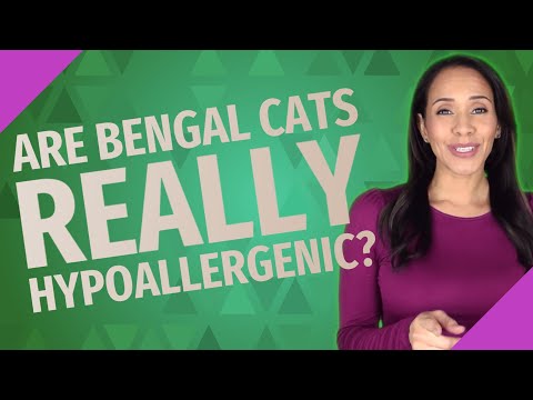 Are Bengal cats really hypoallergenic?