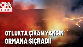 Adıyaman'da Korkutan Yangın! Alevler Ormanlık Alana Sıçradı