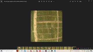 Advanced Learning Techniques for Precision Agriculture YOLO Instance Segmentation Applied to Lodged Crops Utilizing Python for Deep Learning
