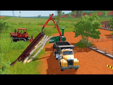 FS17 Platinum Edition - Forestry and Farming on Estancia Lapacho 011
