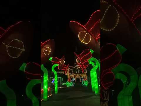 SANTA SOFÍA Y SU ALUMBRADO NAVIDEÑO #turismo #travesia #boyaca #viajes #colombia #travel #viajar