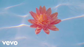 Nina Nesbitt - Somebody Special (Official Audio)